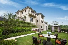 上市、准上市公司董事比